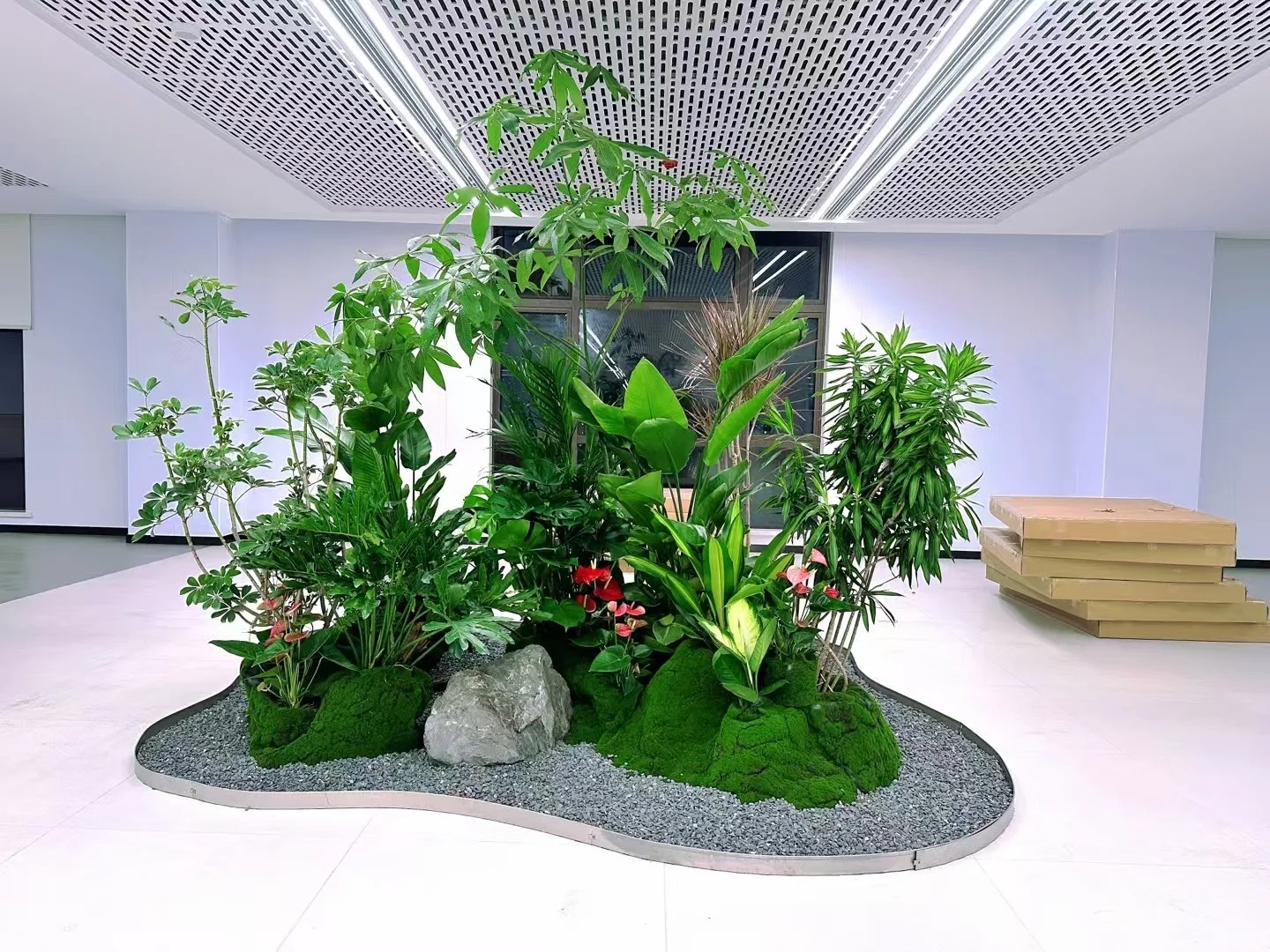 专业盆景租摆，领略宁波北仑风情